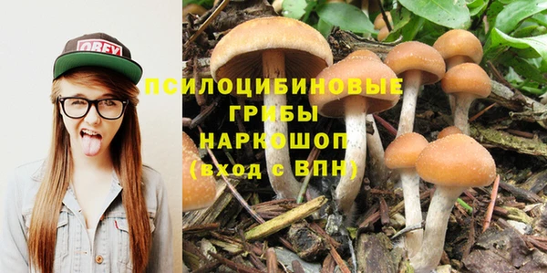 герыч Алексин