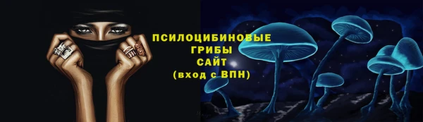 герыч Алексин