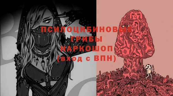герыч Алексин